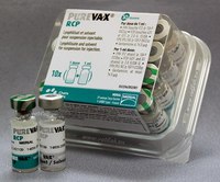 ПЮРВАКС RCP вакцина для котов ( панлейкопения, калицивироз, ринотрахеит)