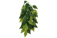 Растение для террариума TRIXIE - Ficus, D- 20 x 30 см