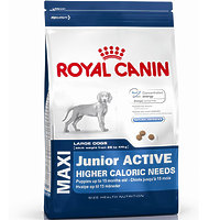 Royal Canin MAXI JUNIOR ACTIVE - корм для щенков крупных пород с высокими энергетическими потребностями