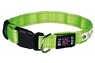 Светящийся USB ошейник для собак TRIXIE,  30–40см/25мм,  зеленый
