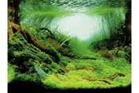 Фон для аквариума двусторонний TRIXIE,  60х30см