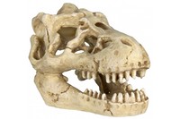 Набор гротов для рыбок TRIXIE -Черепа животных, 8х11 см, упак.6 шт