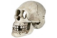 Грот для рыбок TRIXIE - Череп, 15 см