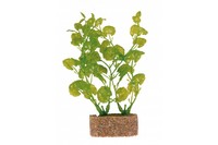 Растение для аквариума TRIXIE - Набор, основание из песка, 12см, комп. 6 шт