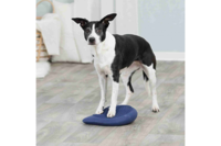 Подушка для балансировки веса"Dog Activity" TRIXIE 28 × 4 × 28см,синий