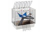 Ferplast  CAGE FURAT BLACK  Клетка для хорьков, с открывающейся крышей 78 x 48 x h 70 cm