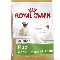 Royal Canin PUG Junior - корм для щенков мопса