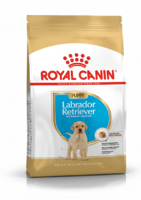 Cухий корм, для собак Royal Canin Labrador Retriever Puppy 3 кг для цуценят породи лабрадор-ретривер від 2 до 15 місяців