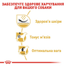 Cухий корм, для собак Royal Canin Pug Adult для дорослих собак породи мопс віком від 10 місяців (3 кг)