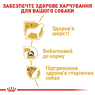 Cухий корм, для собак Royal Canin Yorkshire Terrier Adult для дорослих собак породи йоркширський тер’єр віком від 10 місяців