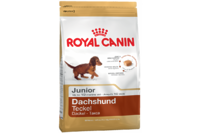 Royal Canin Dachshund Junior для щенков породы такса в возрасте до 10 месяцев 1,5 кг