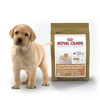 Royal Canin LABRADOR RETRIEVER Junior 33 - корм для щенков до 15 месяцев