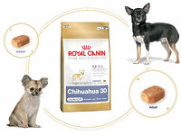 Royal Canin CHIHUAHUA Junior - корм для щенков чихуахуа, 0,5кг