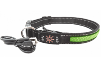 AnimAll ошейник для собак LED, зеленый (с подзарядкой USB), L2.5м/30-40см