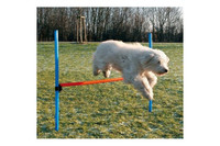 Сборный барьер для собак TRIXIE, 123 x 115 см, D- 3 см