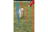Тренировочные палки для собак TRIXIE - Слалом, 115х3,3см(12шт)