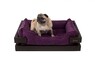Лежак Harley and Cho Dreamer Brown + Ink Velvet, фиолетовый, XS