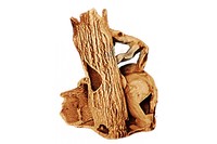 Декорация Природа Два бревна с амфорой мини 21х22