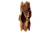 Декорация Природа Бревно с сучками 24х12 см