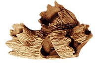 Декорация Природа Коряга с 3-мя сучками 13х23 см