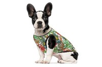 Борцовка «Рио» Одежда для собак XXS