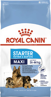 Royal Canin MAXI STARTER - первый твердый корм для щенков крупных пород