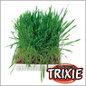 TRIXIE TX-4235 Трава для кота с поддоном TRIXIE